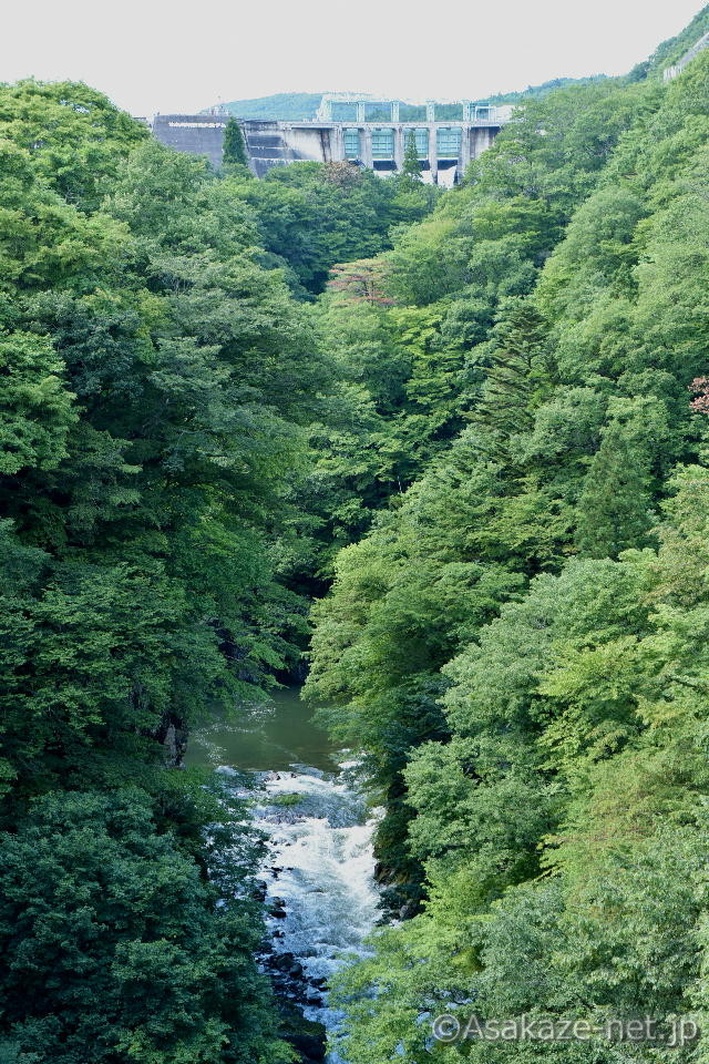 クレストゲートからの放水と大倉川２